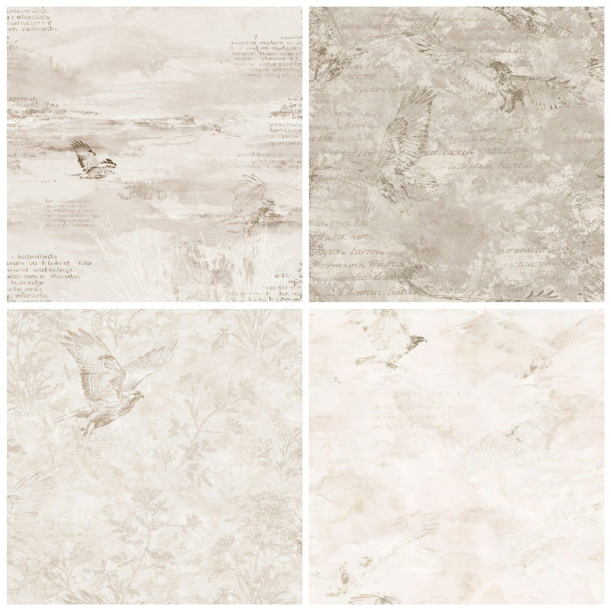 Four Common Buzzard Bird Pasture Cream Raptor Brown Bone digital papers from the pack shown in a grid