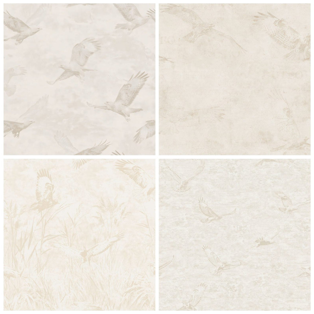 Four more Common Buzzard Bird Pasture Cream Raptor Brown Bone digital papers from the pack shown in a grid