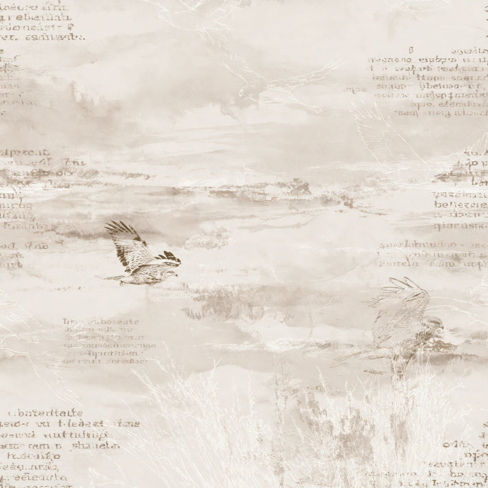 Single Common Buzzard Bird Pasture Cream Raptor Brown Bone digital paper shown full size