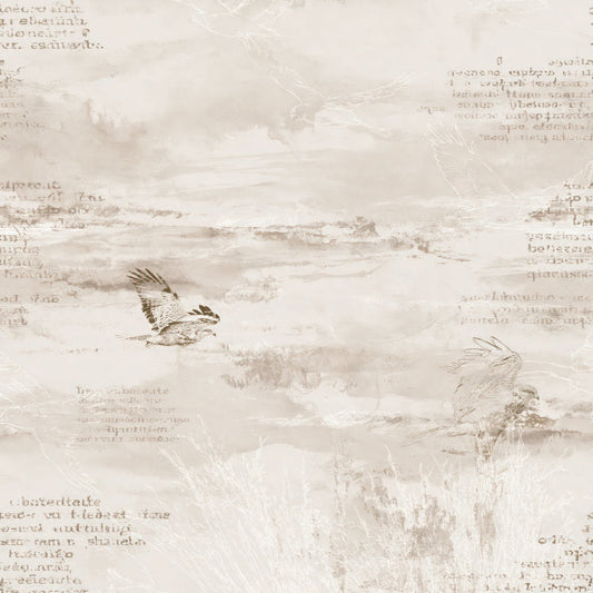 Single Common Buzzard Bird Pasture Cream Raptor Brown Bone digital paper shown full size