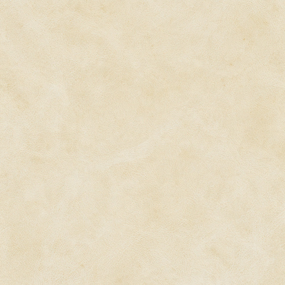 Single Aged Parchment Vellum Parchment Cream Aged Calfskin Bone digital paper shown full size