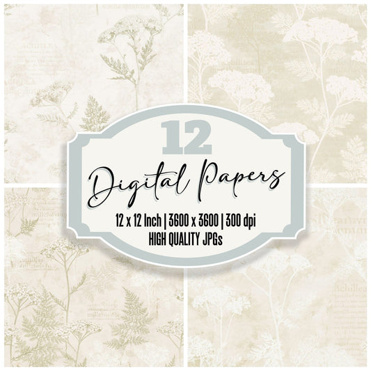 Common Yarrow Flower Grassland Cream Bloom Stem Green digital paper pack cover showing four of the 12 papers