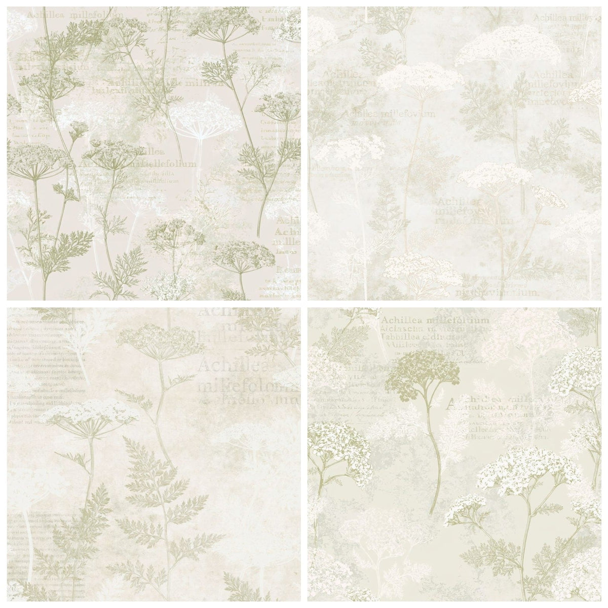 Four Common Yarrow Flower Grassland Cream Bloom Stem Green digital papers from the pack shown in a grid