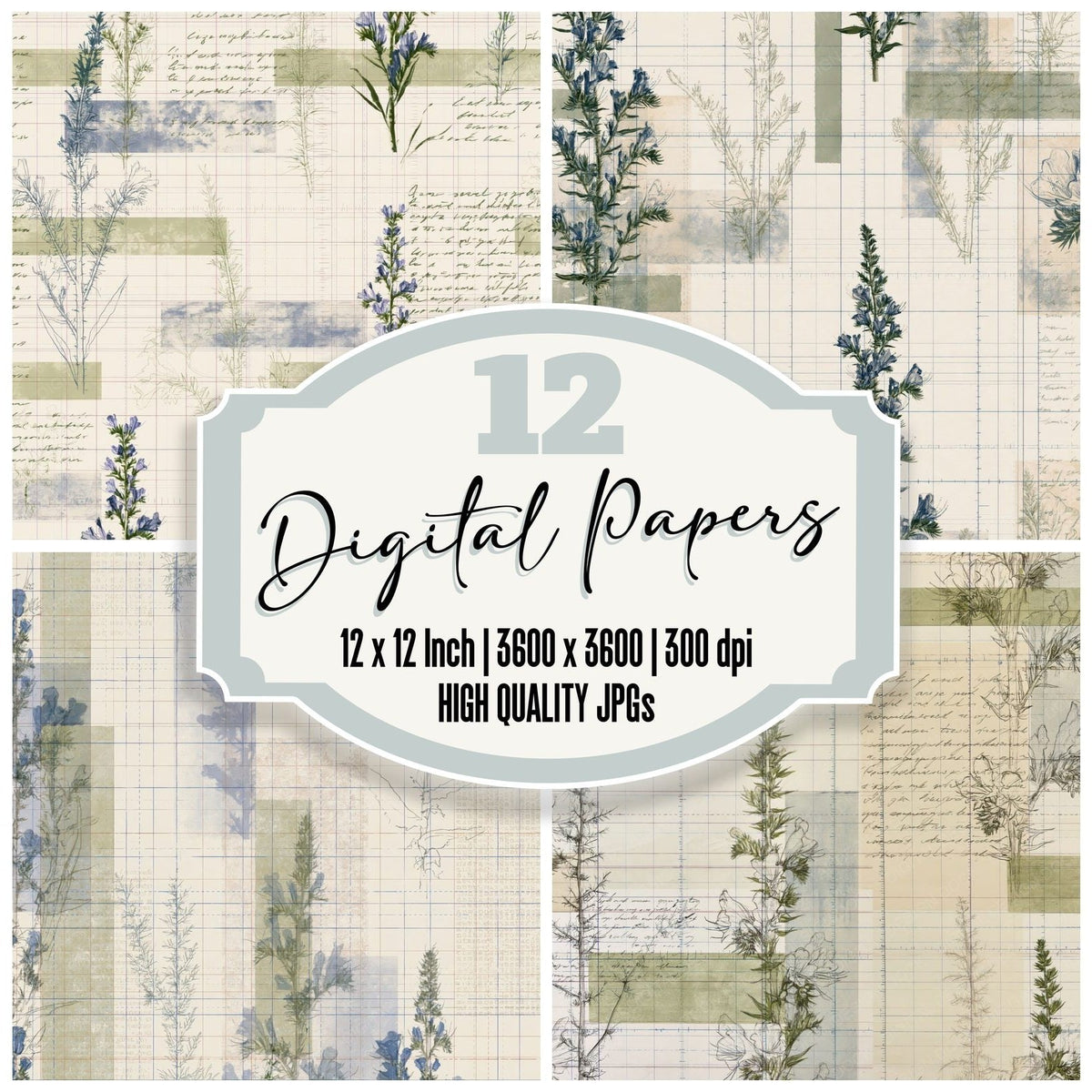 Pattern Studio Vipers Bugloss Cream Bugloss Blue Coastal Green digital paper pack cover showing four of the 12 papers