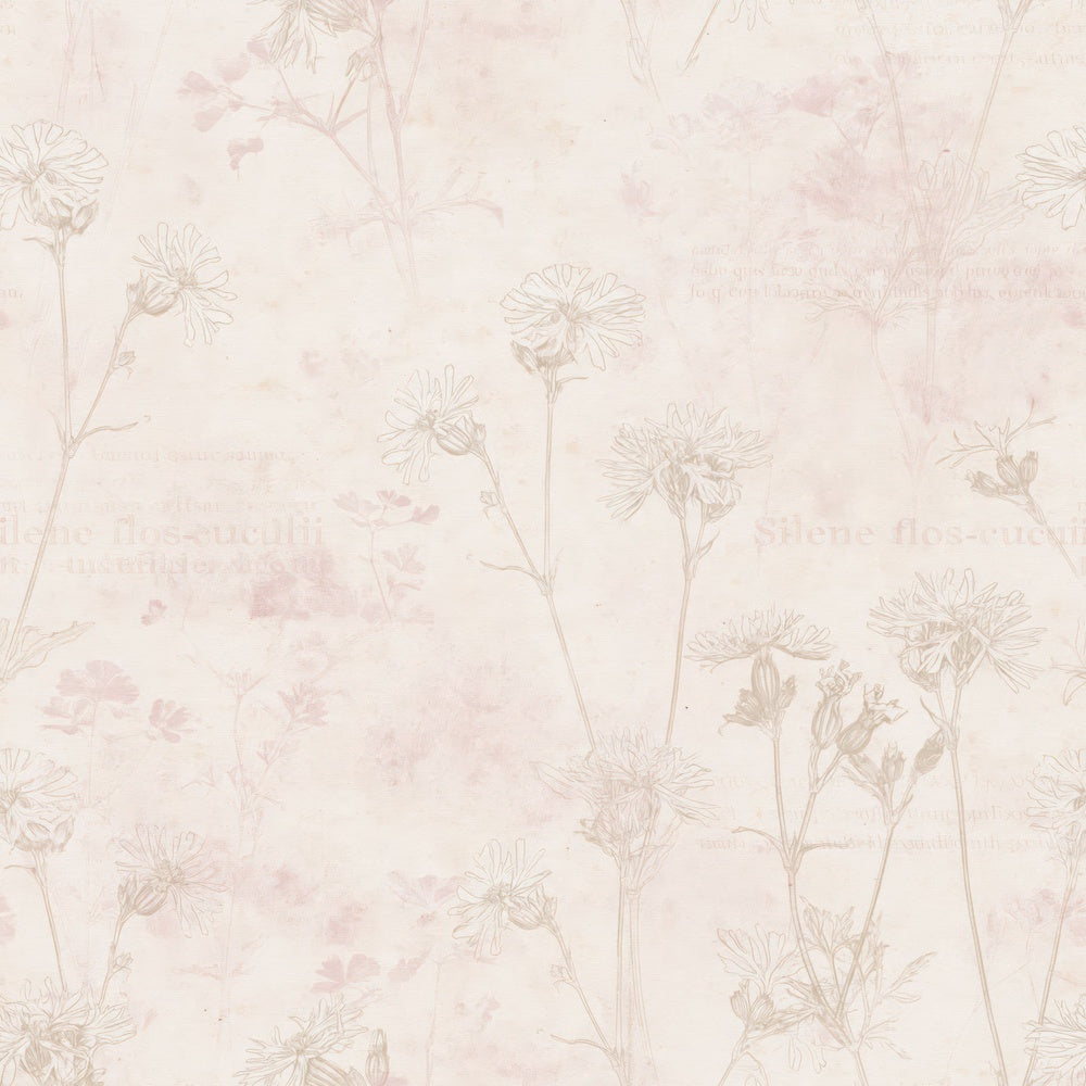 Single Ragged Robin Flower Wet Meadow Cream Dusky Pink Bone digital paper shown full size