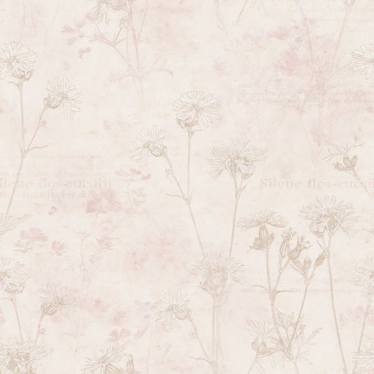 Single Ragged Robin Flower Wet Meadow Cream Dusky Pink Bone digital paper shown full size