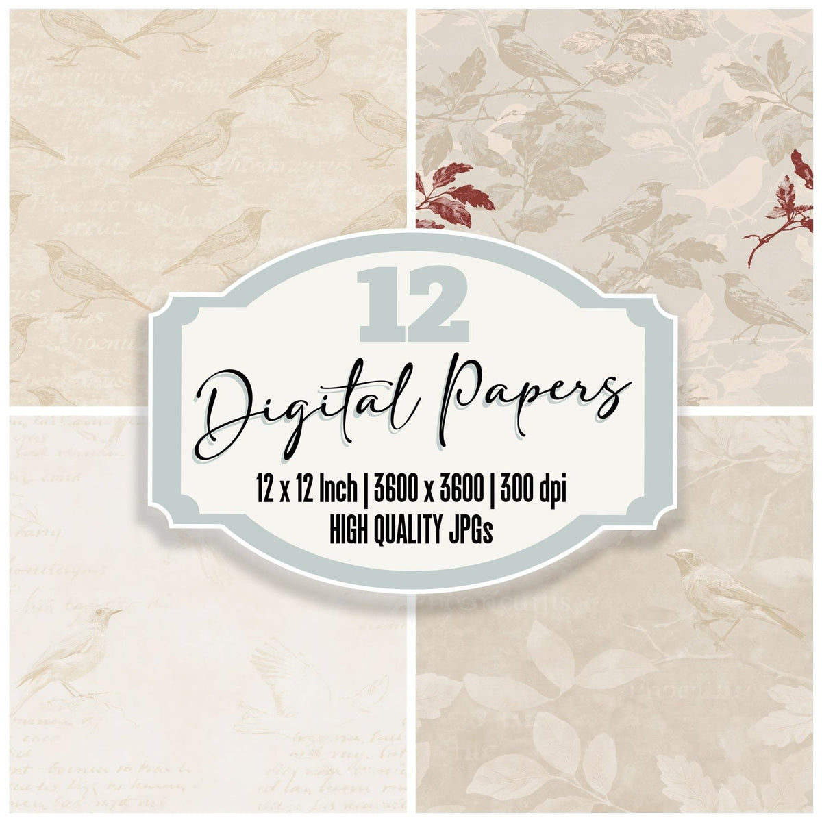 Redstart Bird Oak Wood Cream Fiery Russet Bone digital paper pack cover showing four of the 12 papers