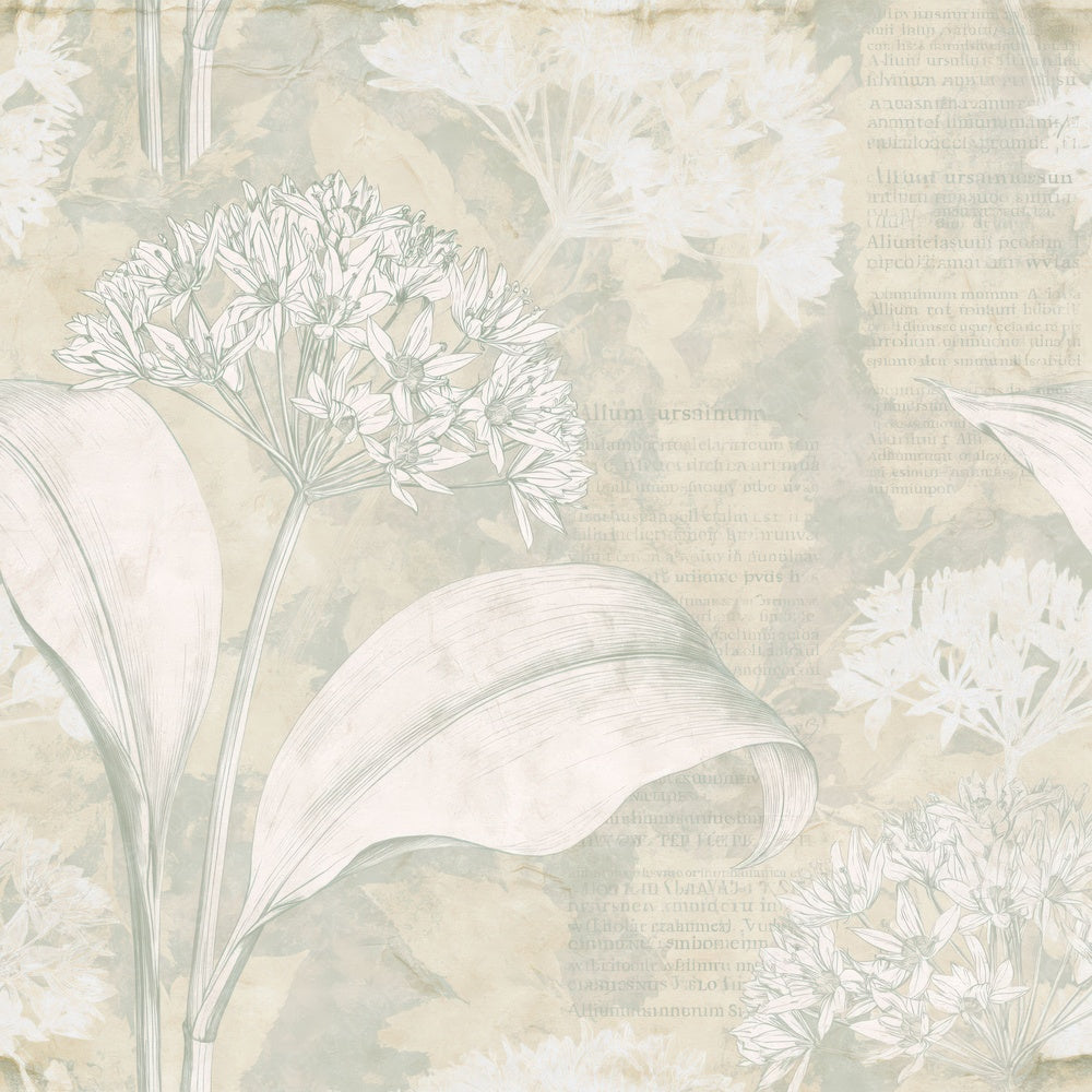 Another Wild Garlic Ramsons Flower Ancient Wood Cream Bloom Leaf Green digital paper shown full size