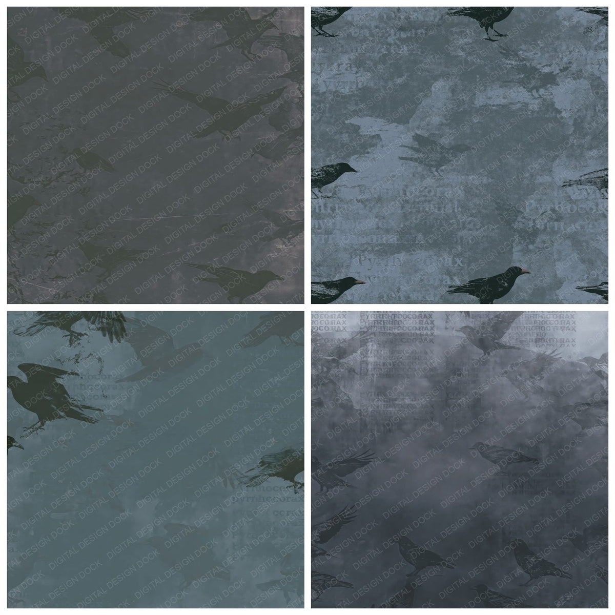 Four Chough Bird Sea Cliff Grey Jet Black Red Beak digital papers from the pack shown in a grid