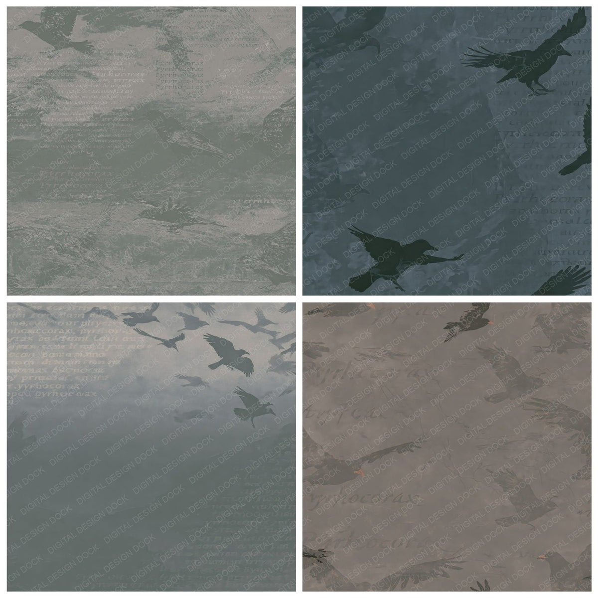 Four more Chough Bird Sea Cliff Grey Jet Black Red Beak digital papers from the pack shown in a grid