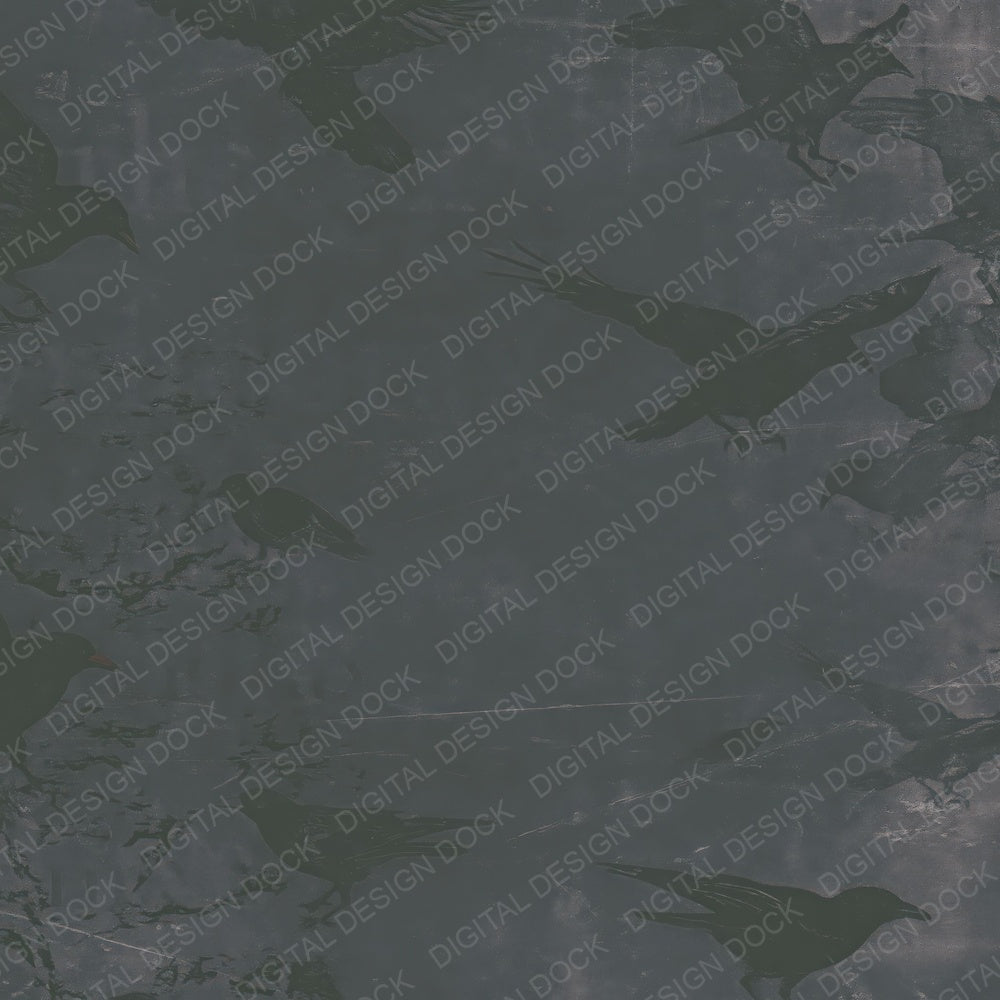 Single Chough Bird Sea Cliff Grey Jet Black Red Beak digital paper shown full size