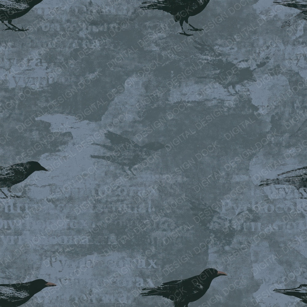 Another Chough Bird Sea Cliff Grey Jet Black Red Beak digital paper shown full size