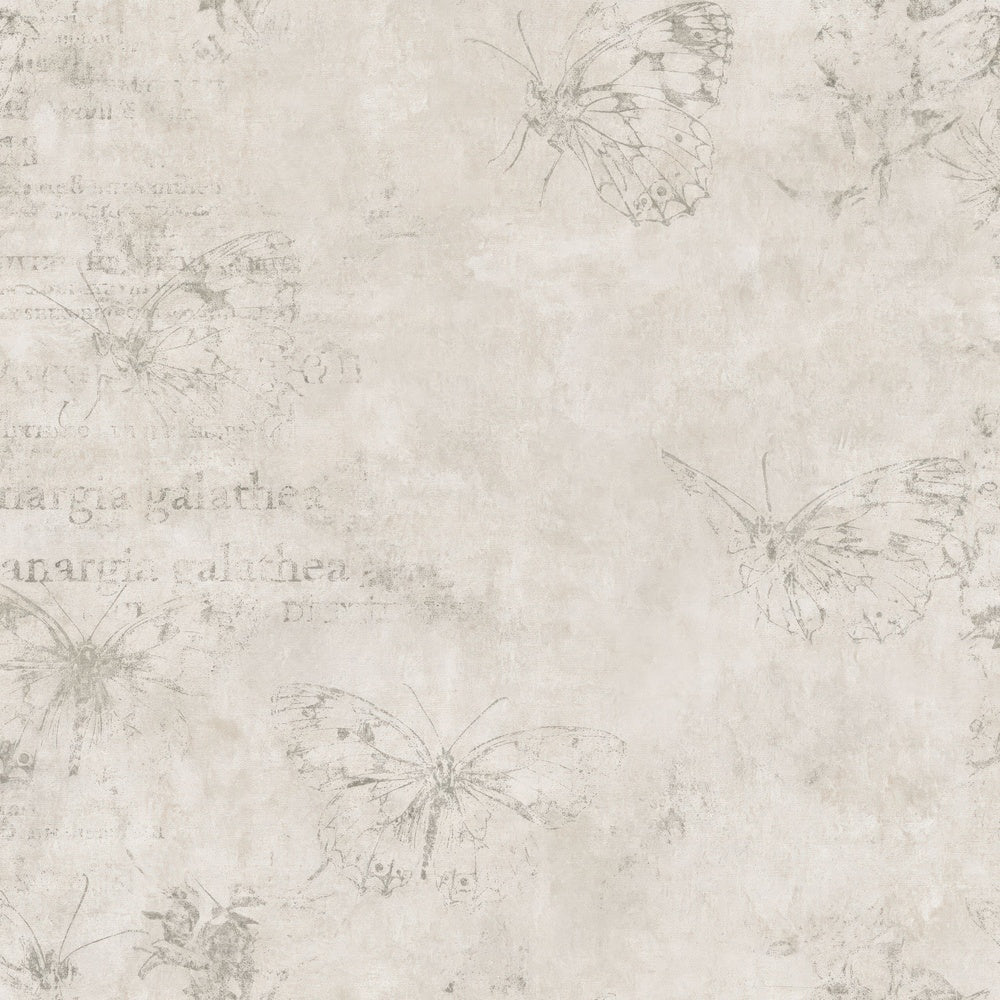 Single Marbled White Butterfly Insect Chalk Cream Chessboard Black Bone White digital paper shown full size