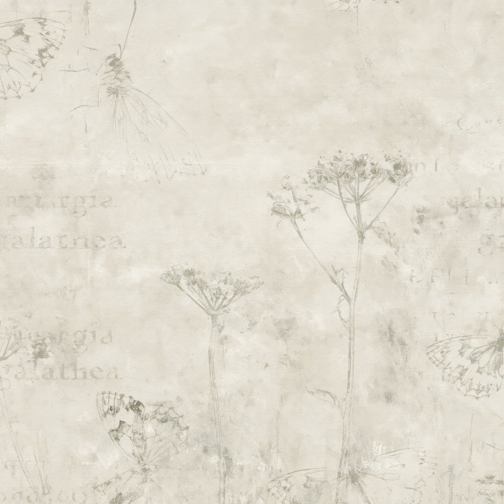 Another Marbled White Butterfly Insect Chalk Cream Chessboard Black Bone White digital paper shown full size