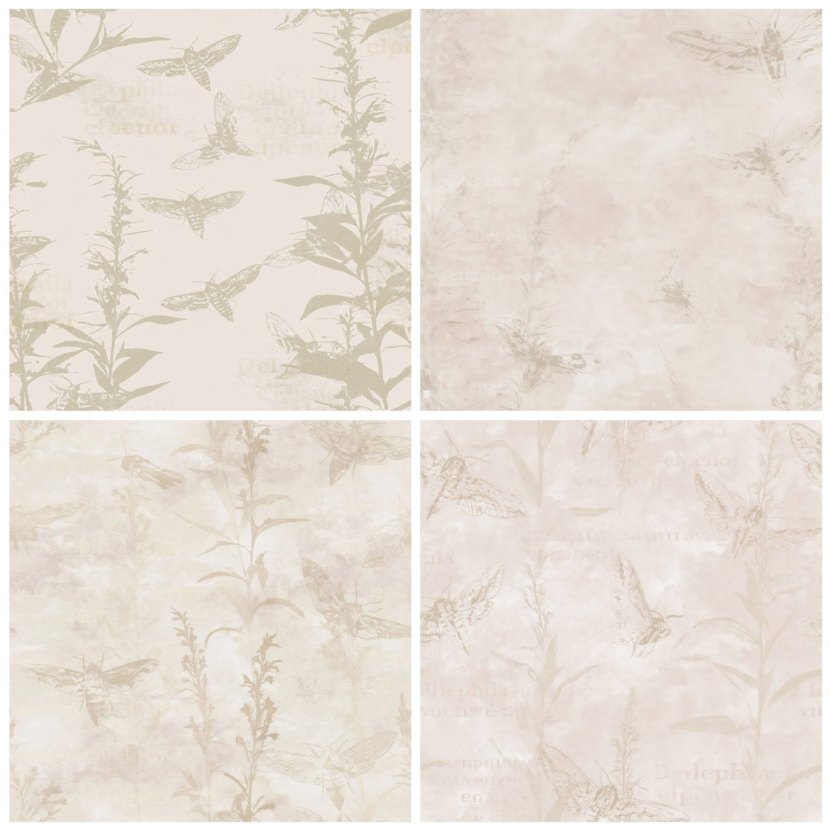 Four Elephant Hawk Moth Insect Dusk Cream Olive Pink Bone digital papers from the pack shown in a grid