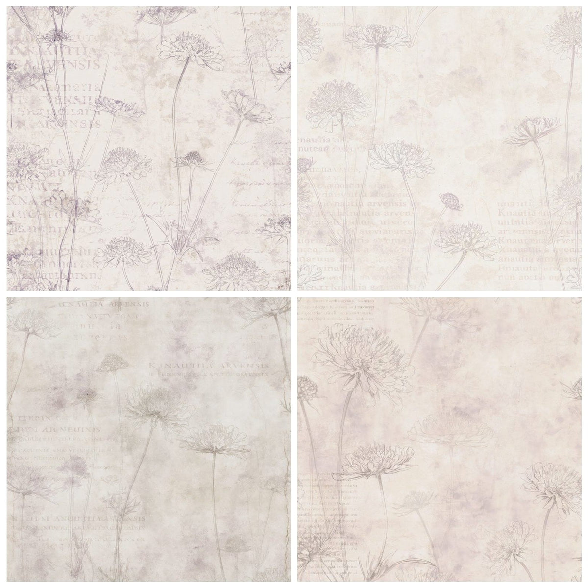 Four Field Scabious Flower Chalk Meadow Cream Dusky Lilac Bone digital papers from the pack shown in a grid
