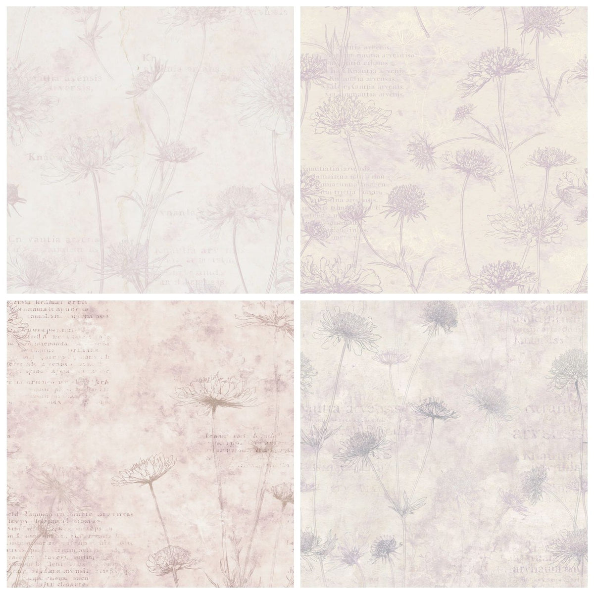 Four more Field Scabious Flower Chalk Meadow Cream Dusky Lilac Bone digital papers from the pack shown in a grid
