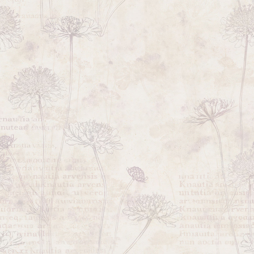 Another Field Scabious Flower Chalk Meadow Cream Dusky Lilac Bone digital paper shown full size
