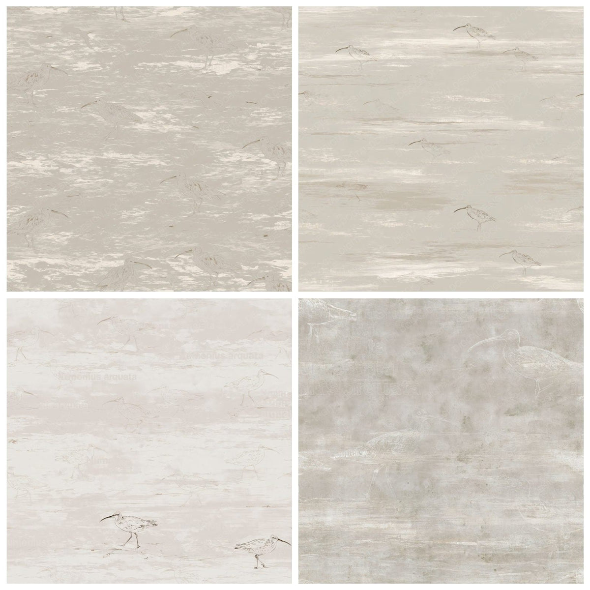 Four Curlew Wading Bird Estuary Grey Streaked Buff Bone digital papers from the pack shown in a grid