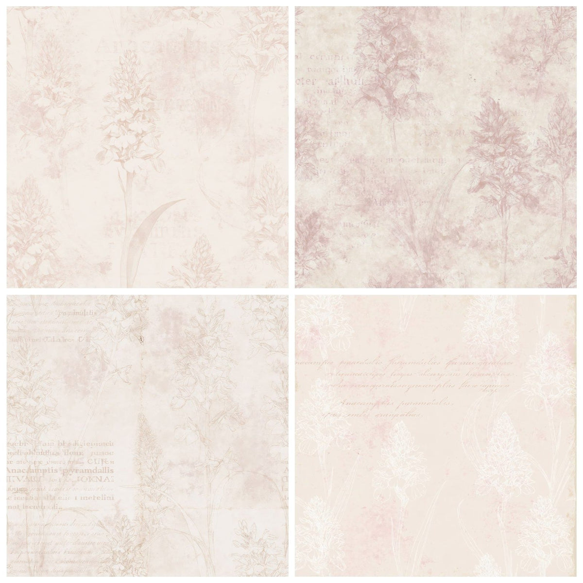 Four more Pyramidal Orchid Flower Chalk Grassland Cream Rose Pink Bone digital papers from the pack shown in a grid