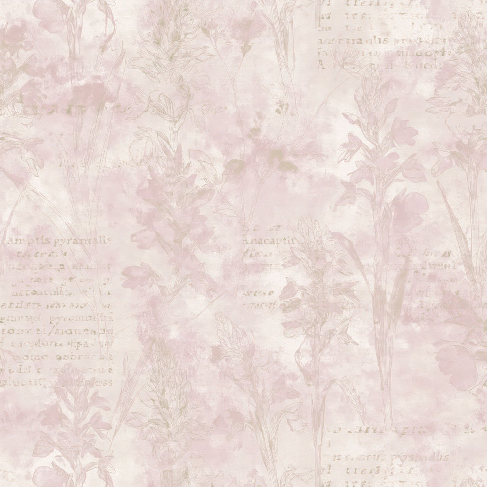 Single Pyramidal Orchid Flower Chalk Grassland Cream Rose Pink Bone digital paper shown full size
