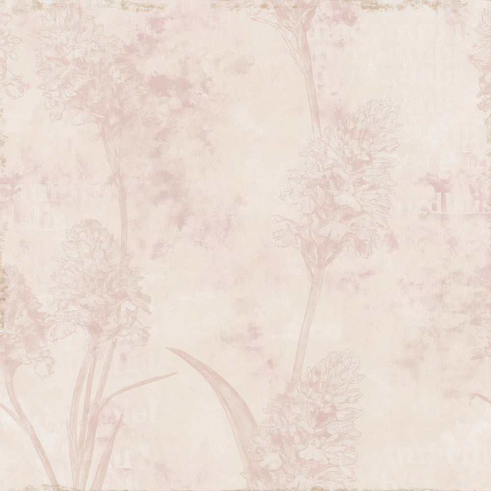Another Pyramidal Orchid Flower Chalk Grassland Cream Rose Pink Bone digital paper shown full size