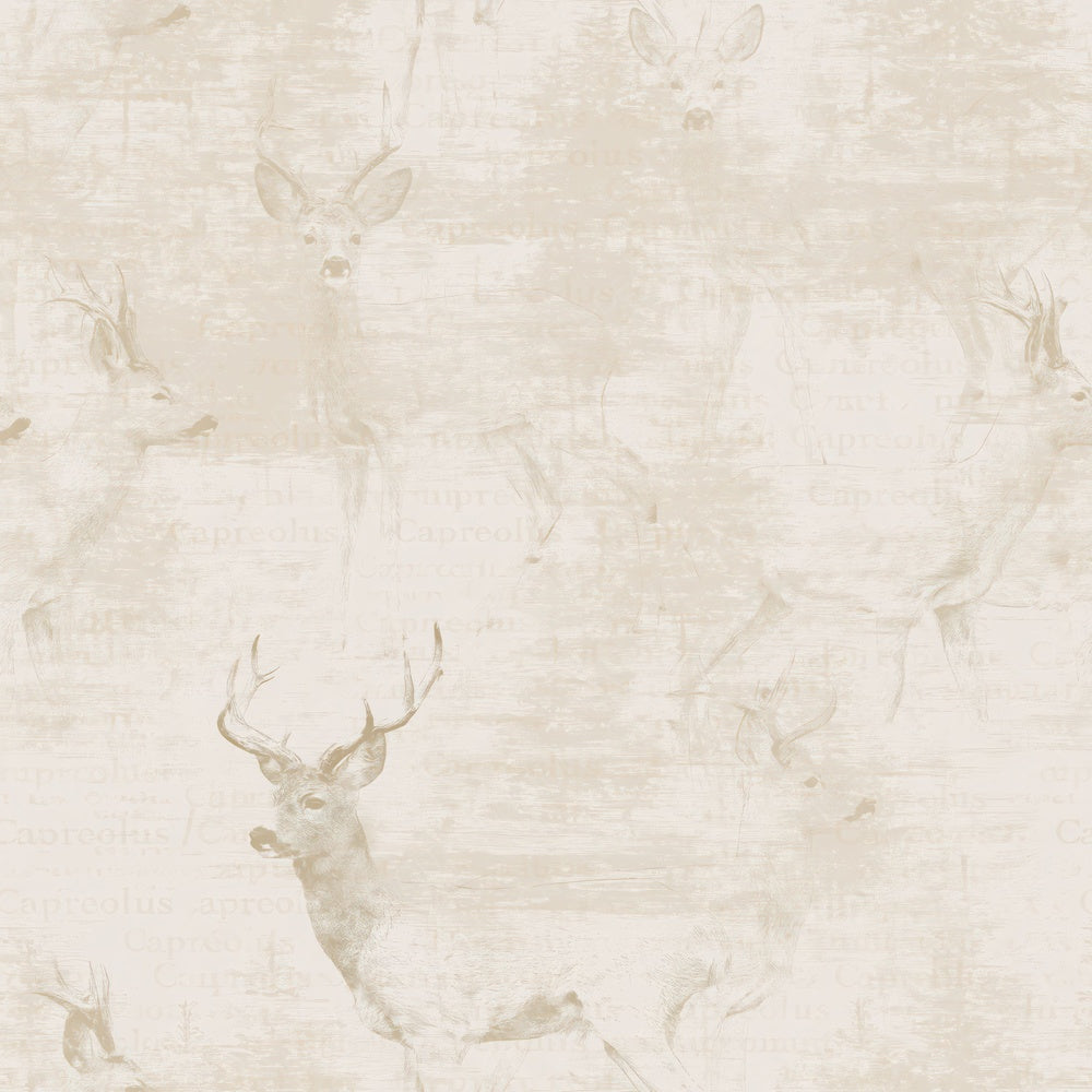 Single Roe Deer Buck Mammal Woodland Edge Cream Foxy Coat Bone digital paper shown full size