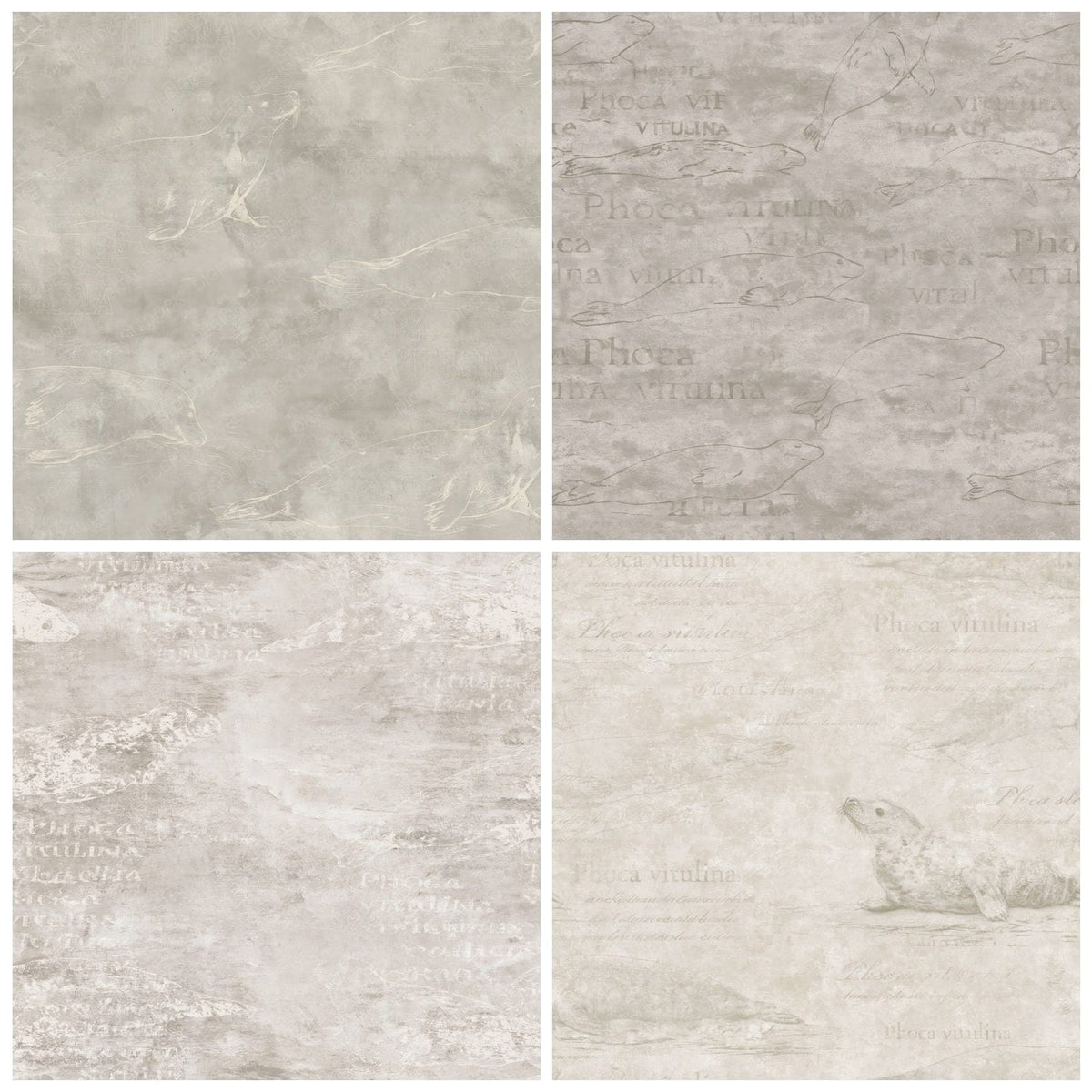Four Common Seal Mammal Estuary Sandbank Mottled Grey Bone digital papers from the pack shown in a grid