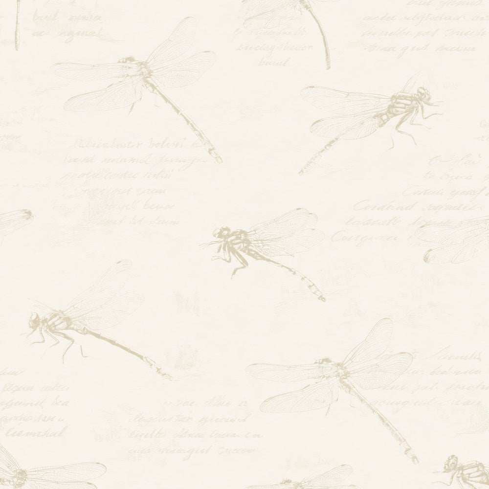 Single Golden Ringed Dragonfly Insect Peat Stream Cream Banded Black Gold digital paper shown full size
