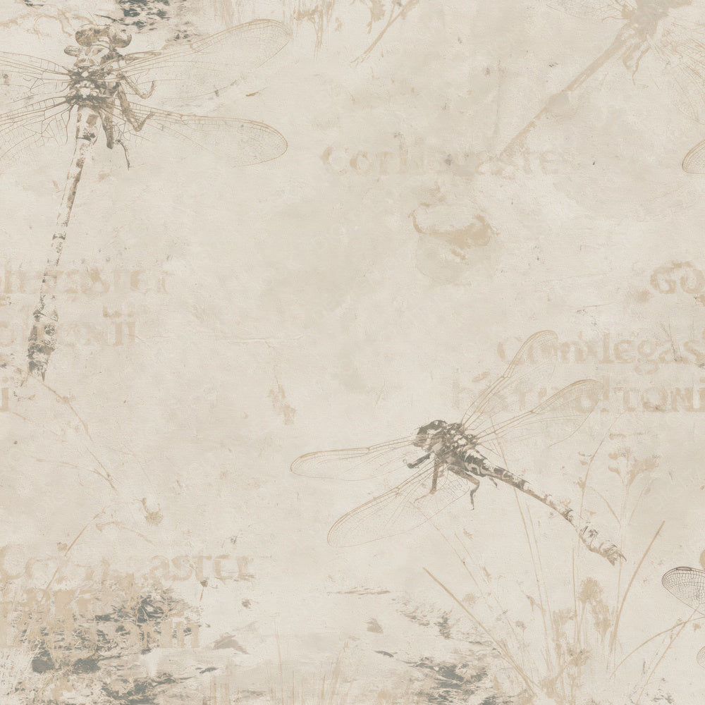 Another Golden Ringed Dragonfly Insect Peat Stream Cream Banded Black Gold digital paper shown full size