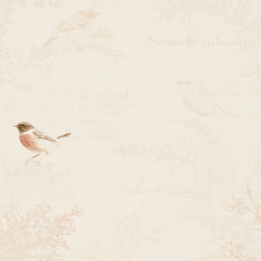 Single Stonechat Bird Heathland Cream Russet Breast Bone digital paper shown full size