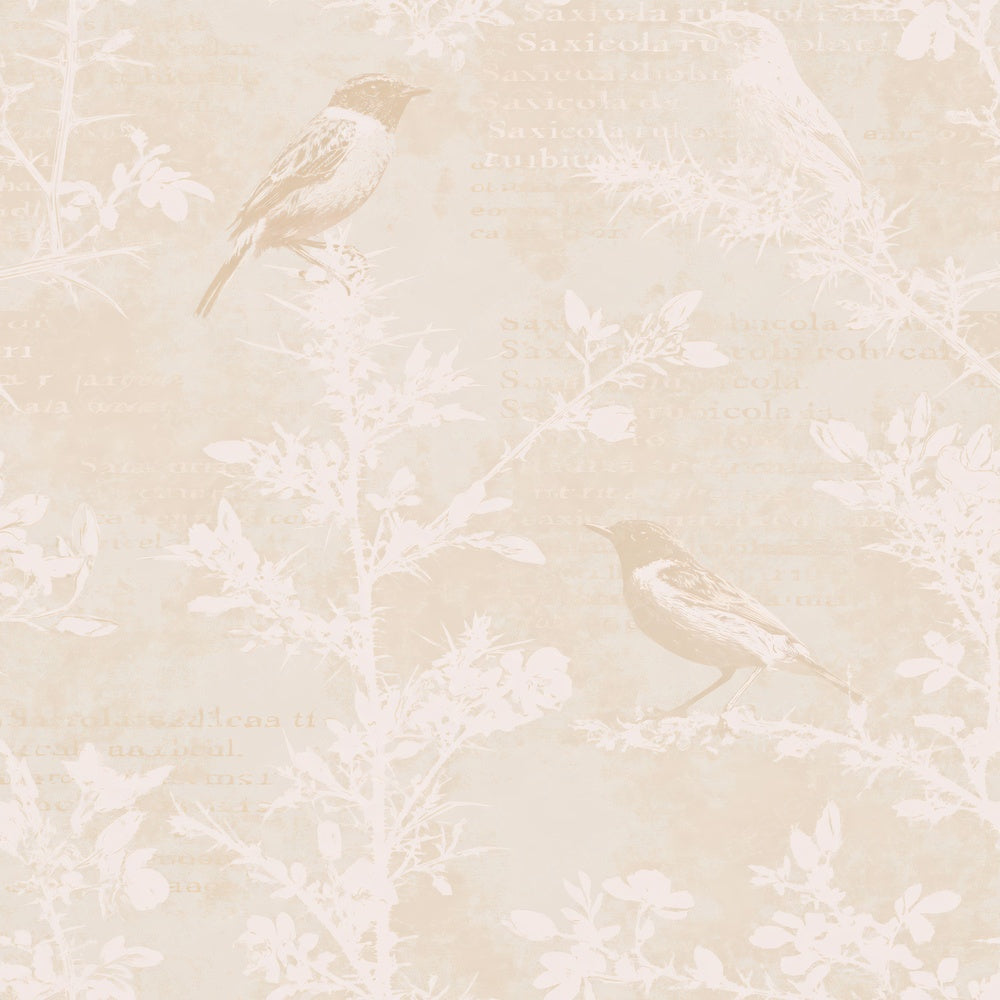 Another Stonechat Bird Heathland Cream Russet Breast Bone digital paper shown full size
