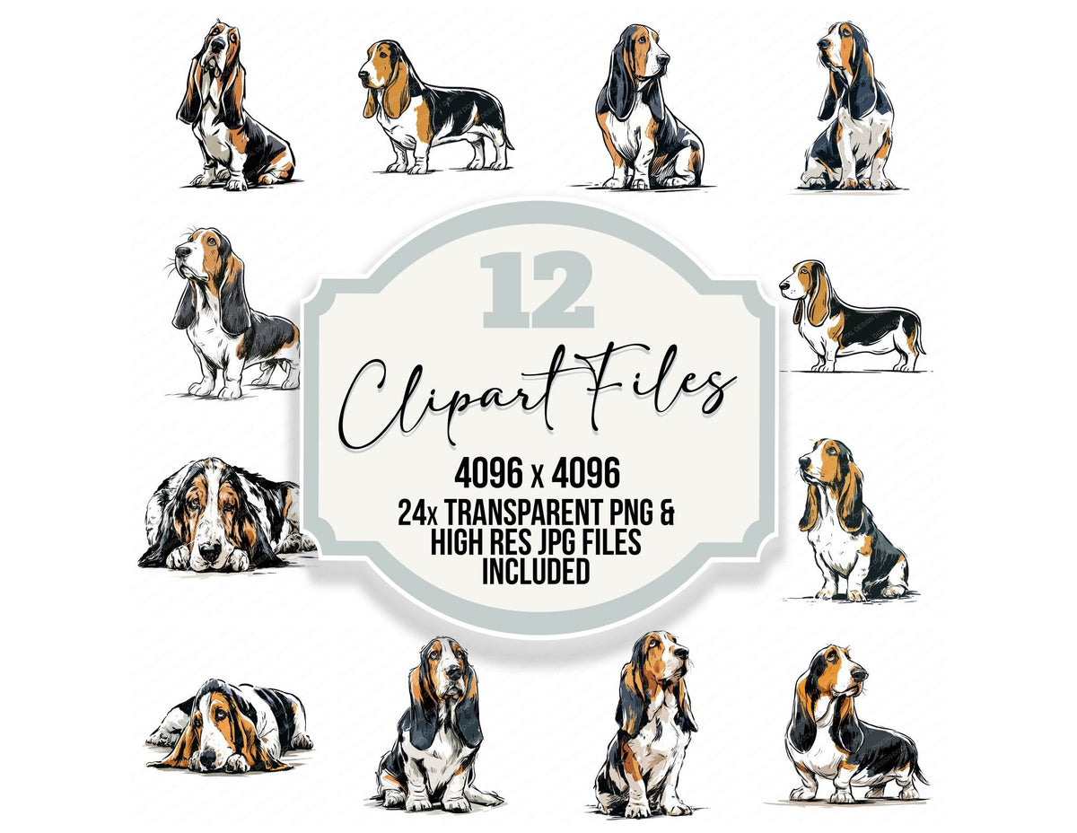 Basset Hound Watercolour Dog clipart set cover showing the designs and file details