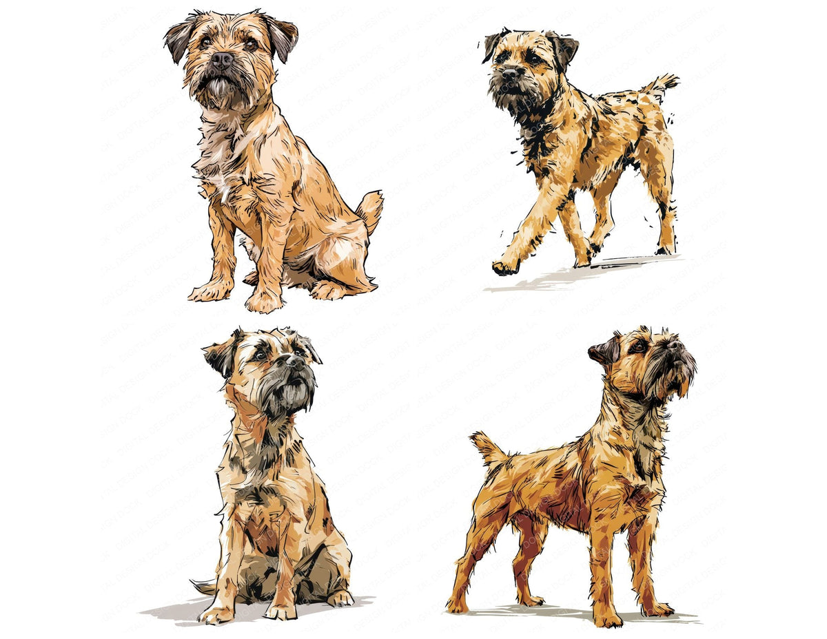 Four Border Terrier Watercolour Dog clipart designs from the set