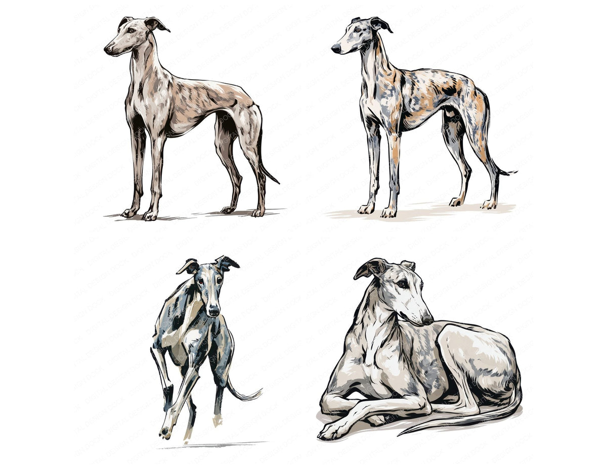 Four Greyhound Watercolour Dog clipart designs from the set