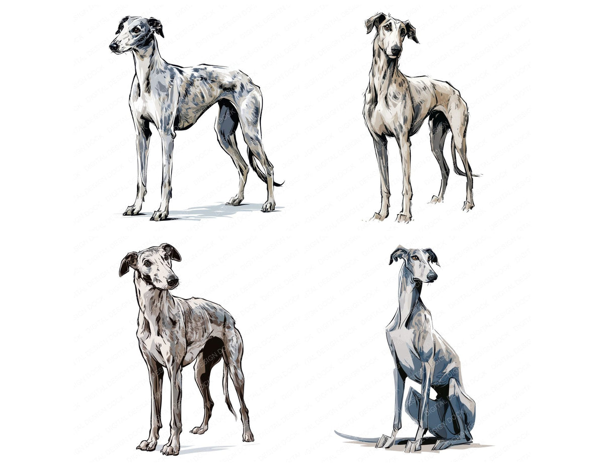 Four more Greyhound Watercolour Dog clipart designs from the set