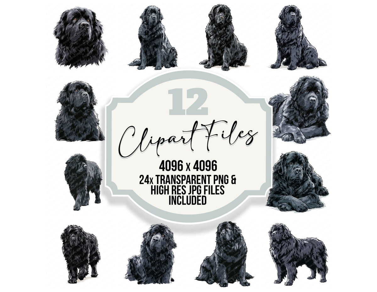 Newfoundland Watercolour Dog clipart set cover showing the designs and file details