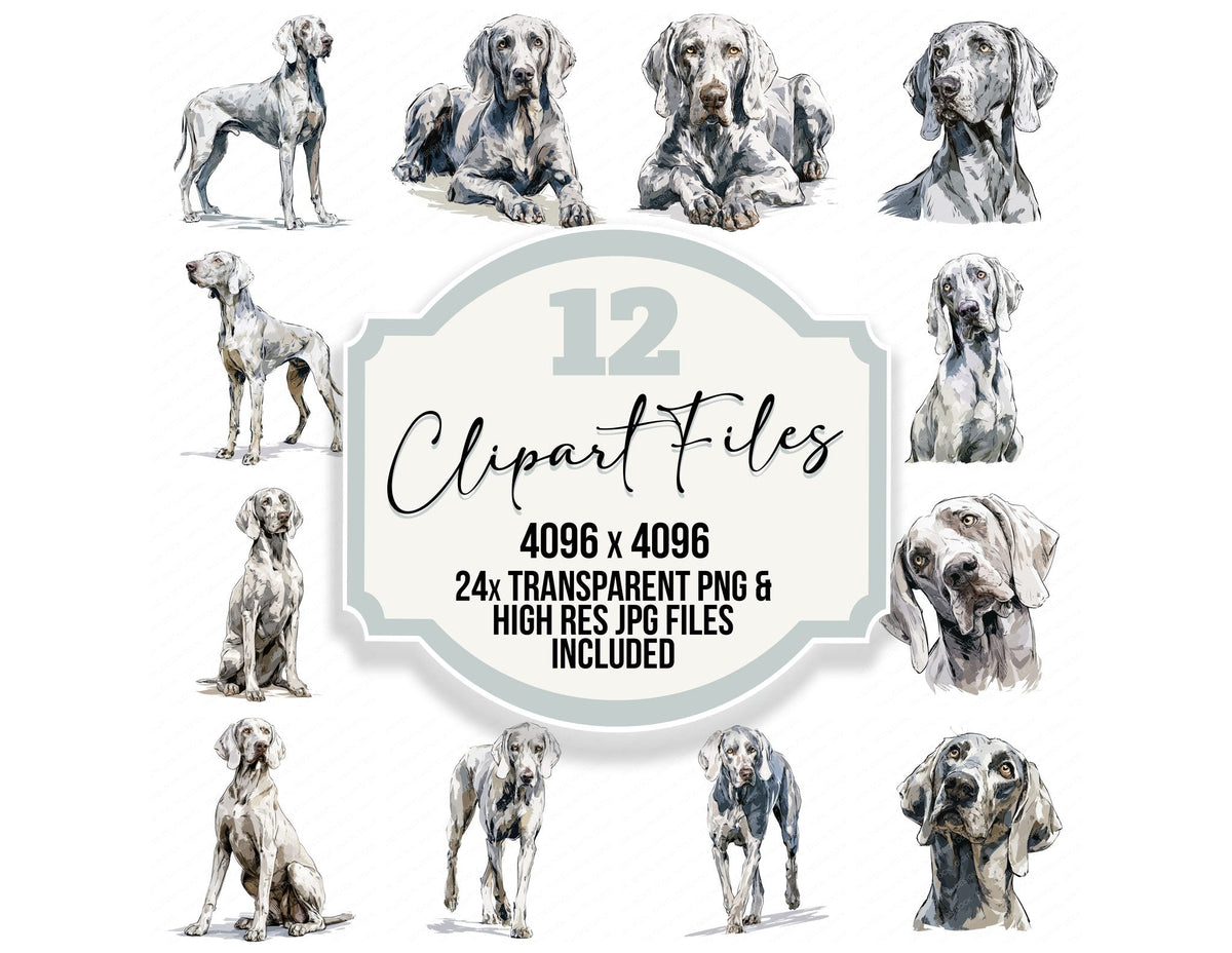Weimaraner Watercolour Dog clipart set cover showing the designs and file details