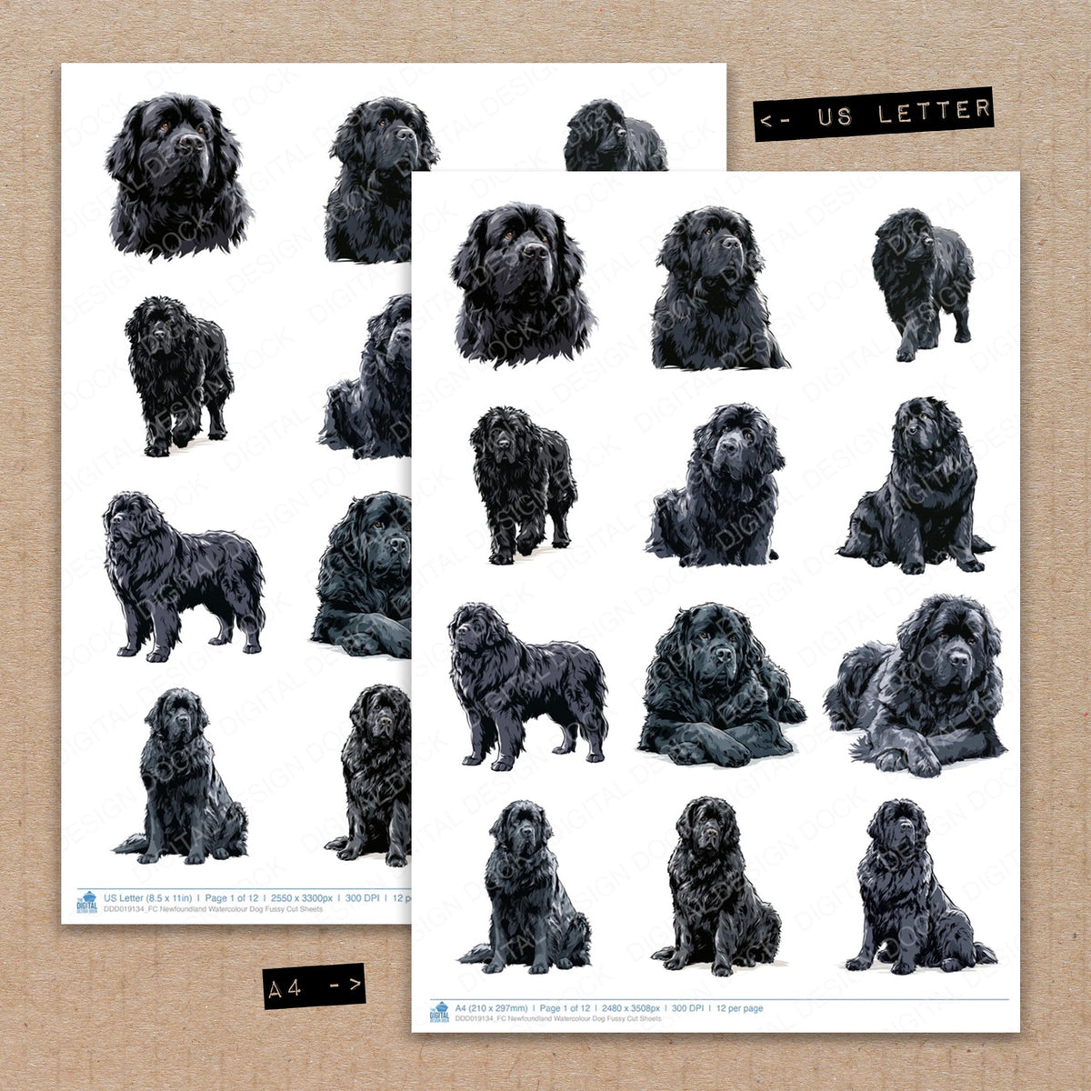 A4 and US Letter format comparison showing Newfoundland Watercolour Dog fussy cut pages for print and cut crafting