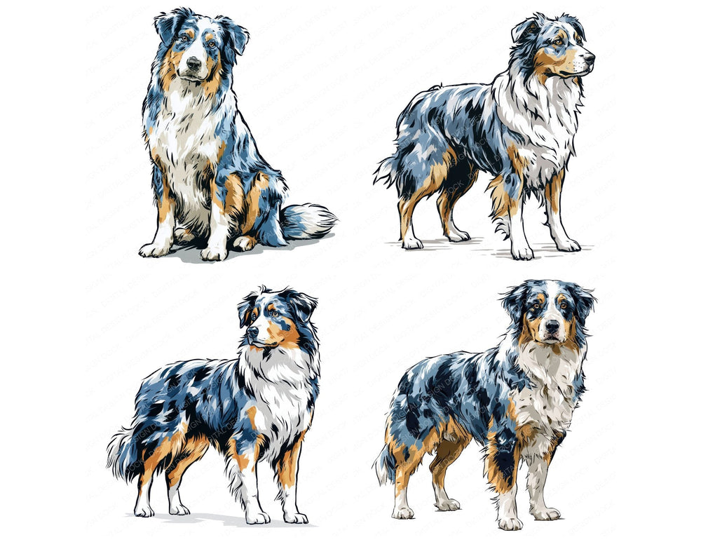 Four more Australian Shepherd Watercolour Dog clipart designs from the set