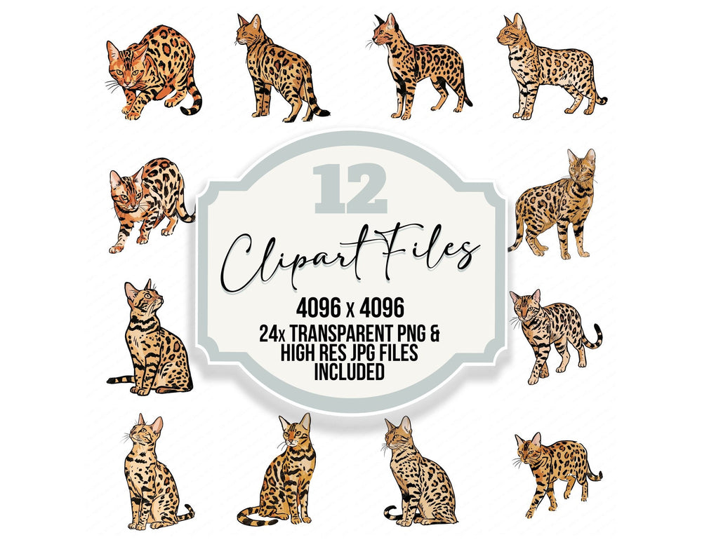 Bengal Watercolour Cat clipart set cover showing the designs and file details