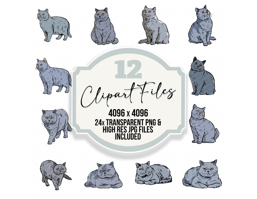 British Shorthair Watercolour Cat clipart set cover showing the designs and file details