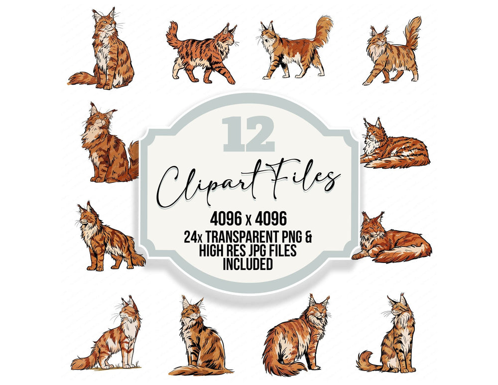 Maine Coon Watercolour Cat clipart set cover showing the designs and file details