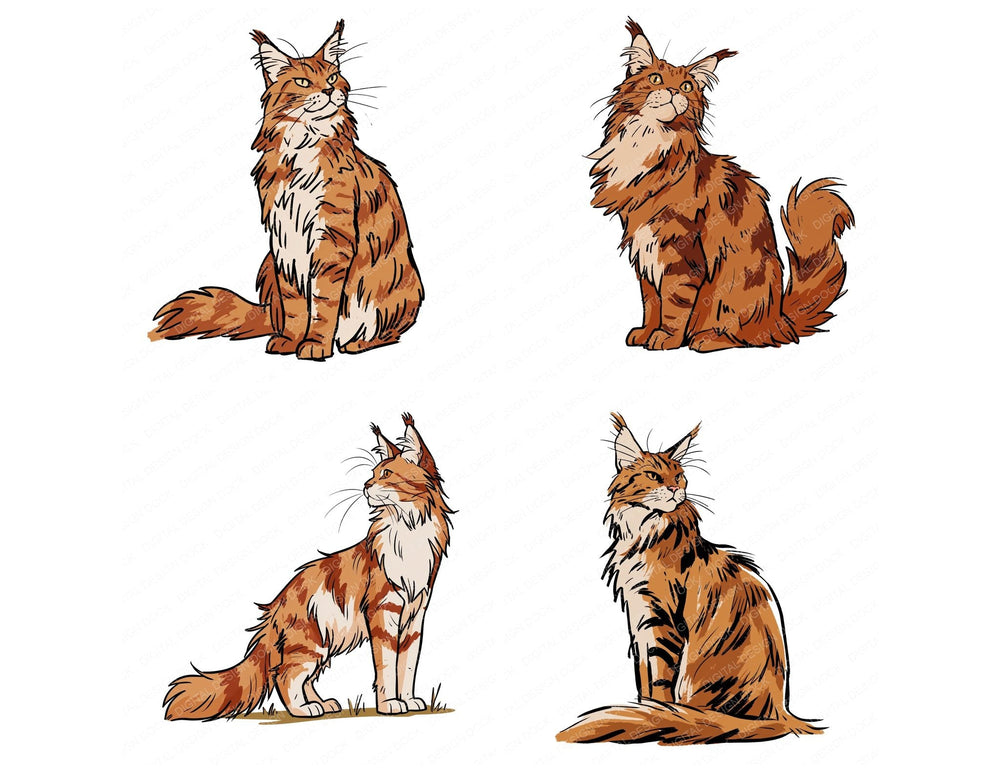 Four Maine Coon Watercolour Cat clipart designs from the set