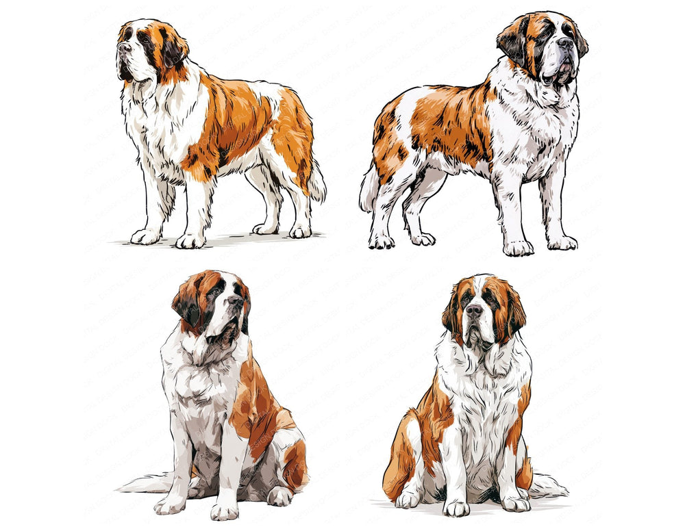 Four Saint Bernard Watercolour Dog clipart designs from the set
