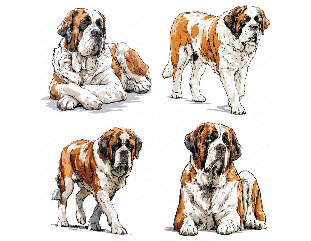 Four more Saint Bernard Watercolour Dog clipart designs from the set