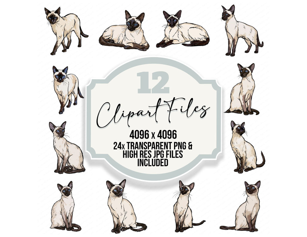 Siamese Watercolour Cat clipart set cover showing the designs and file details