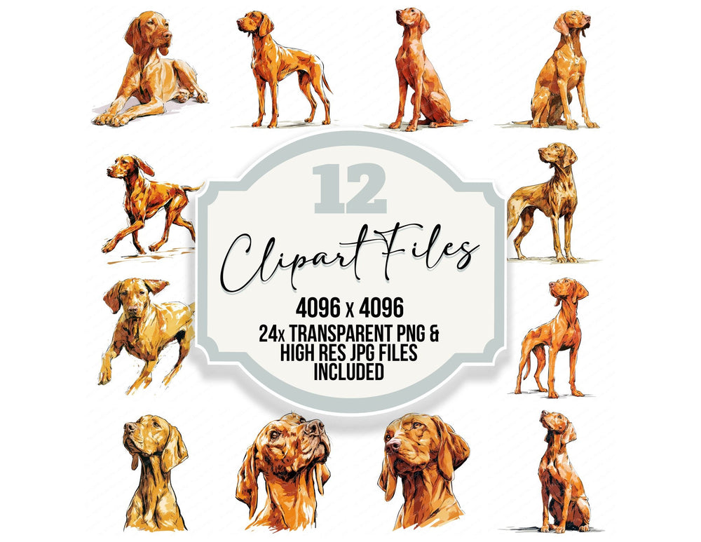 Vizsla Watercolour Dog clipart set cover showing the designs and file details