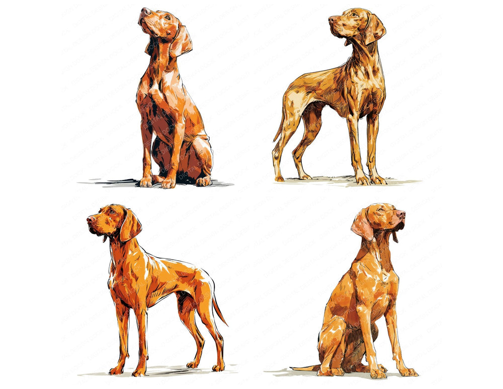 Four more Vizsla Watercolour Dog clipart designs from the set