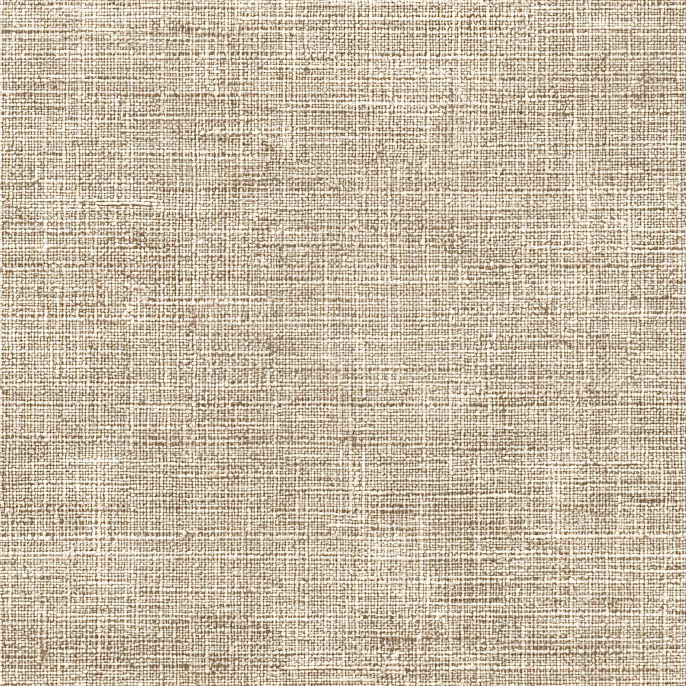 Beige Linen Weave Digital Paper Pack (DDD008108)